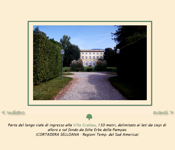 pianta del parco